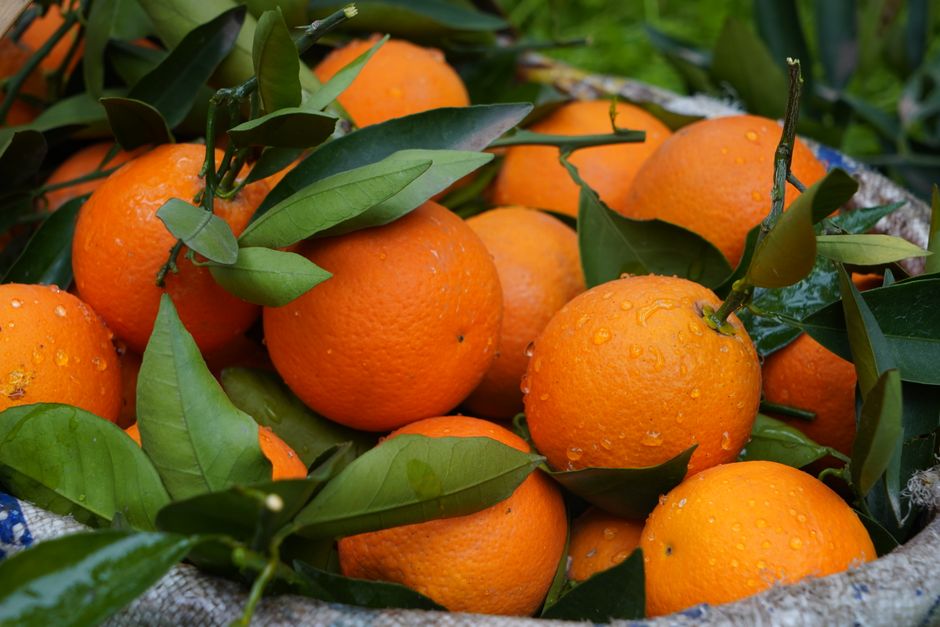 Oranje en karamel theedoeken in keukeninterieur.