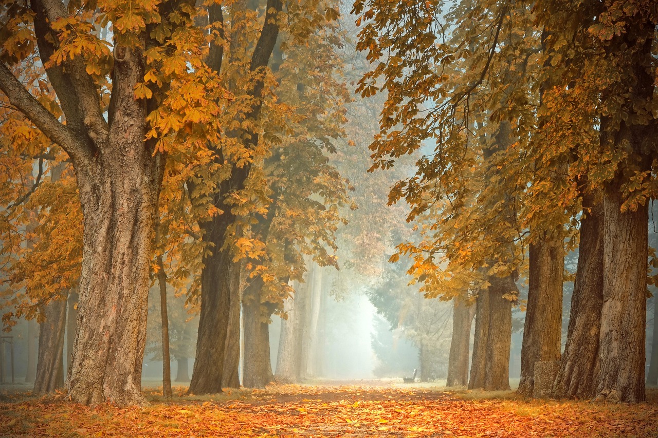 Korte muurstickers met pompoenen en herfstkleuren.