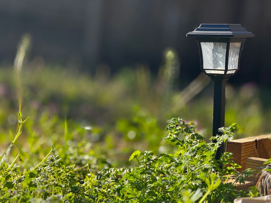 Gloeiende LED-kettingen brengen sfeervol tuinspektakel.